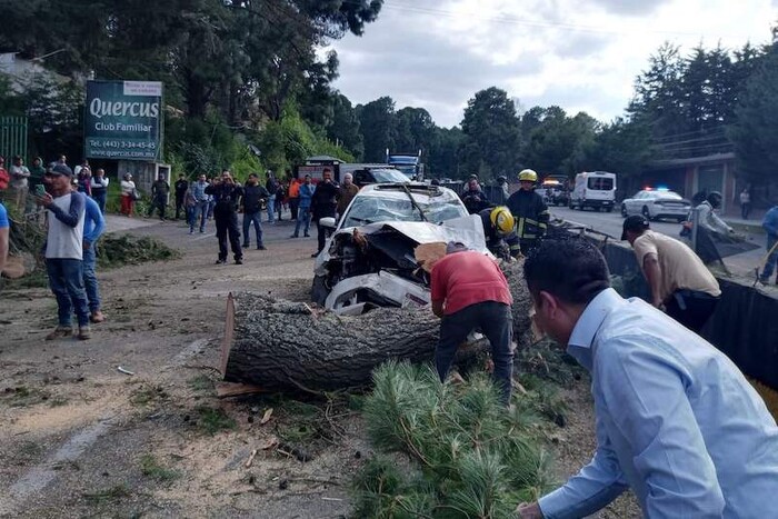 Cae enorme árbol sobre auto en la Pátzcuaro-Santa Clara; hay dos lesionados