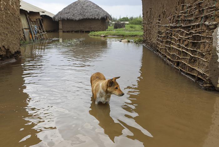 CAF ofrece mil millones de dólares para enfrentar el fenómeno de El Niño en América Latina