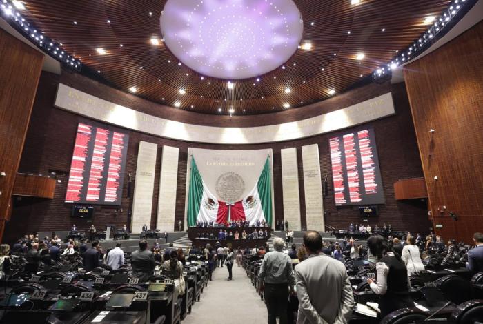 Cámara de Diputados aprobó minuta que prohíbe uso de ejemplares mamíferos marinos para aprovechamiento extractivo, ya sea de subsistencia o comercial