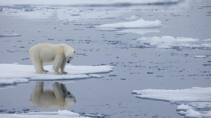 Cambio climático: creer o saber