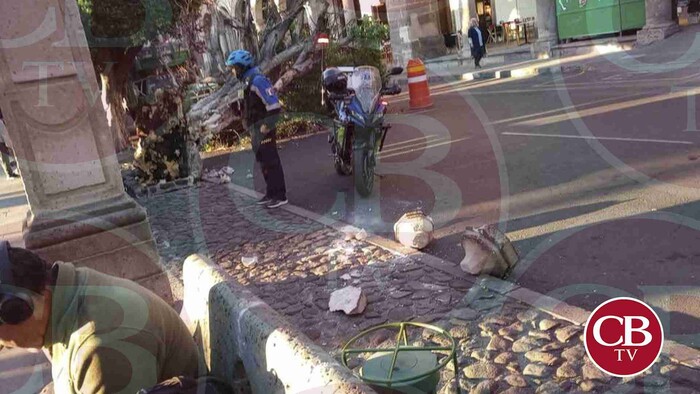 Camioneta de basura tumba árbol en la Plaza de Armas de Morelia