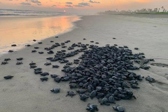 Noticias de Michoacán