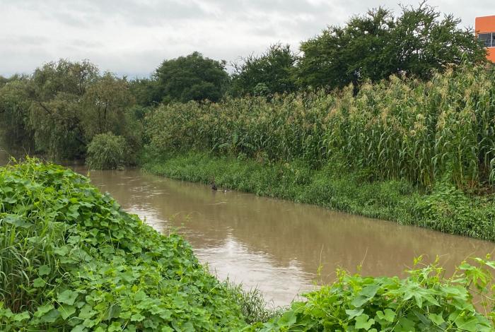 Cárcamos y drenes, para prevenir inundaciones en Morelia