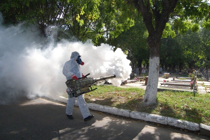 Casos de dengue se disparan en un 239% en México