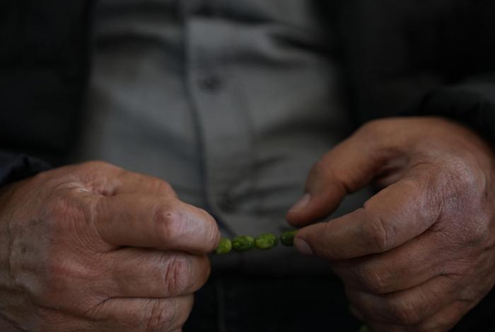 Casos de Parkinson aumentarían en México mucho más que en el resto del mundo; estas son las razones