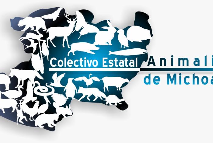 Celebran colectivos animalistas postura de FGE, IMPA y UNAM frente a evento de lucro animal