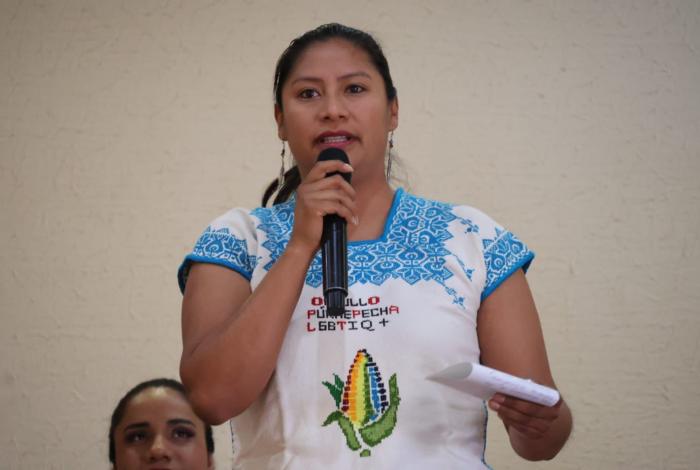 Celeste Ascencio impulsa reforma constitucional en materia de diversidad