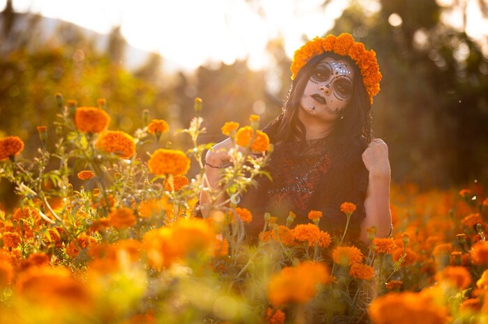 Cempasúchil, los secretos de un amor tan grande como el sol