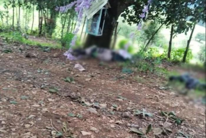 Cherán se acuertala, cierra barricadas y suspende toda actividad