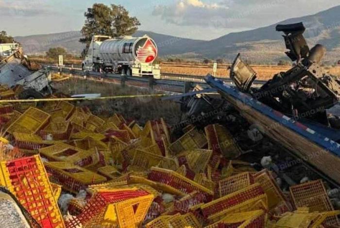 Choque-volcadura de tractocamión de pollos deja un mu3rto en la autopista de Occidente