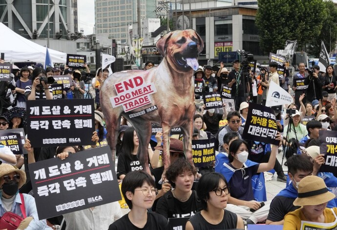 Cierran criaderos de perros para consumo humano en Corea del Sur