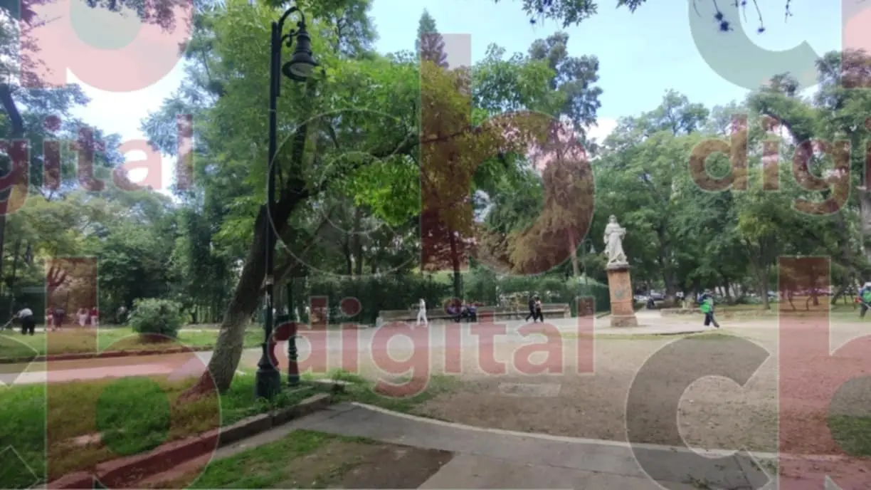 Ciudadanía ve con buenos ojos nueva iluminación en Bosque Cuauhtémoc