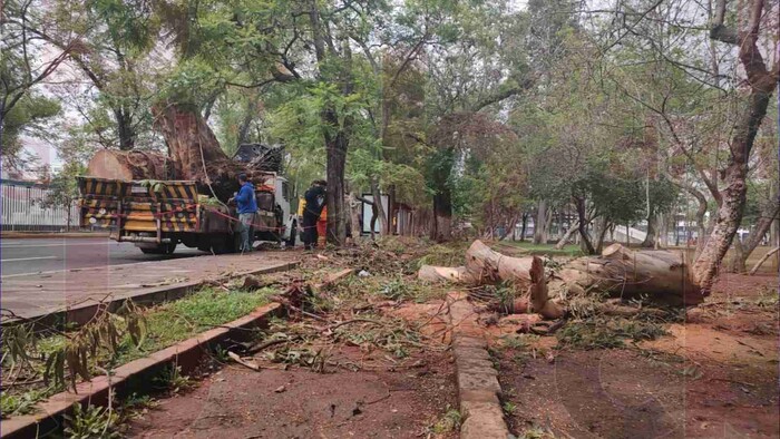 Ciudadanos piden mejor mantenimiento para el Bosque Cuauhtémoc