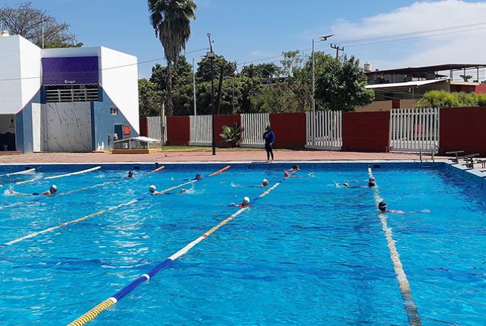 Club Albatros Pichardo celebra 50 años de historia, disciplina y legado en Apatzingán