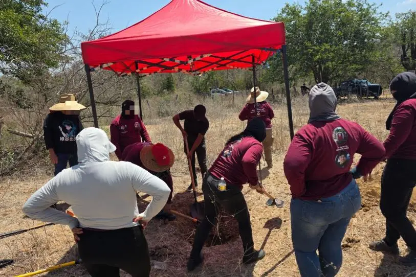 Colectivo de búsqueda halla otra fosa clandestina en Concordia, Sinaloa