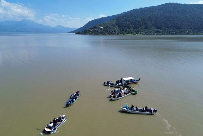 Compesca libera 30 mil crías de pez blanco y acúmara en el lago de Pátzcuaro
