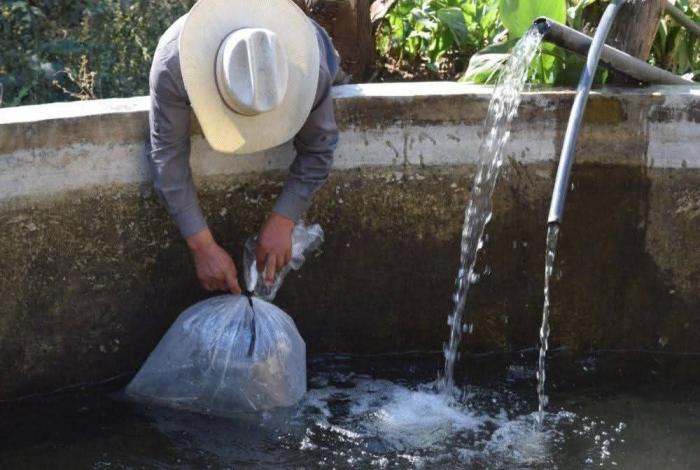 Con apoyo del Gobierno de Morelia, productores piscícolas se preparan para la cuaresma