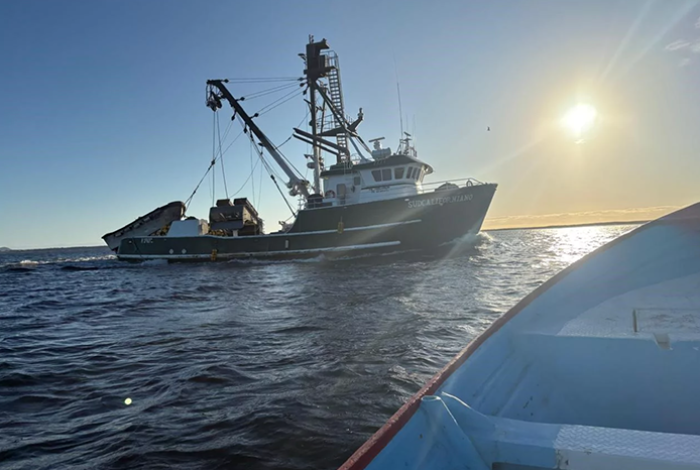 Conapesca retiene 462 toneladas de producto pesquero ilegal en junio