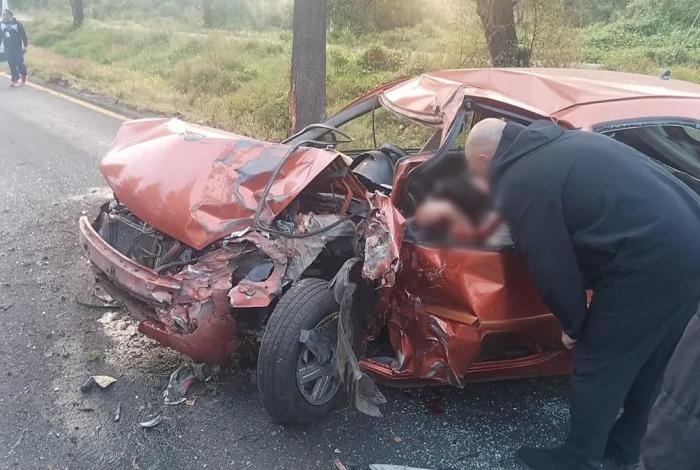 Conductor fallece tras chocar contra un árbol en la Morelia-Pátzcuaro