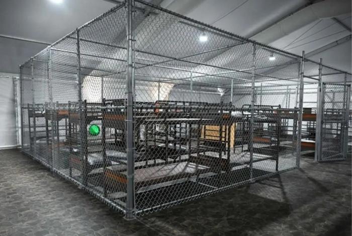 Confirma Sheinbaum 19 mexicanos detenidos en “Alcatraz de los Caimanes” y 23 en Georgia