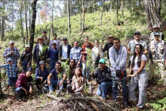 Consejo Ciudadano de Morelia encabeza forestación en San Miguel del Monte