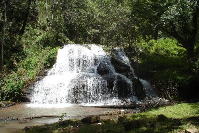 Control del agua y 3.2 mdp, detrás de conflicto interno por autogobierno en San Miguel del Monte, Morelia