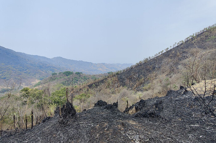 Controlan incendio en cerros de Chucutitan