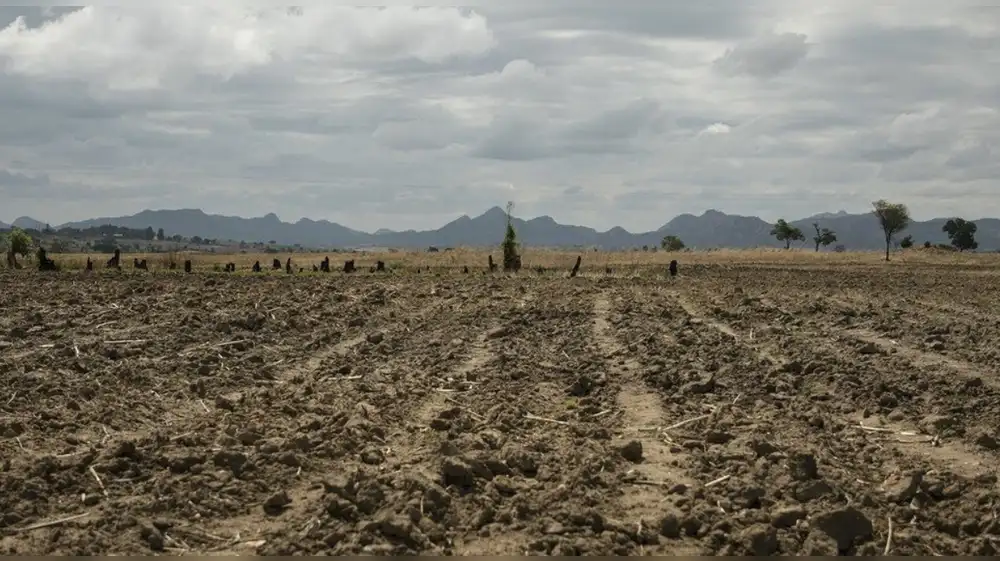 Corea del Norte padece una grave sequía