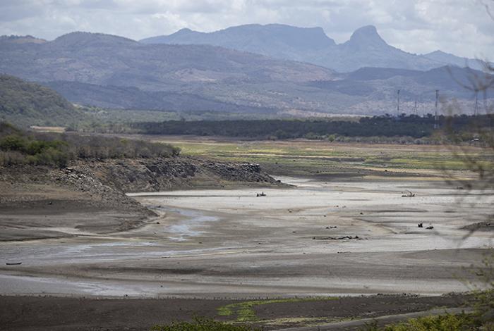 Crisis climática: La batalla definitiva por la supervivencia del planeta