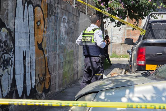 Crueldad animal en Morelia: tiran cinco cu3rp0s de cachorritos en un costal