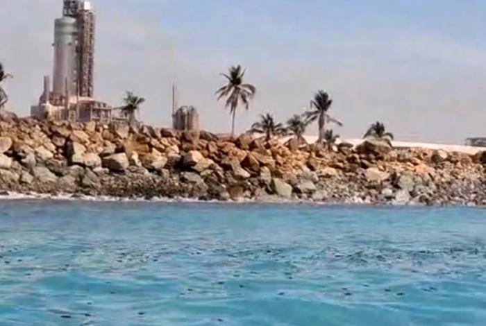 Daño ecológico en puerto de LC: Denuncian muerte de peces y señalan a Fertinal como el origen