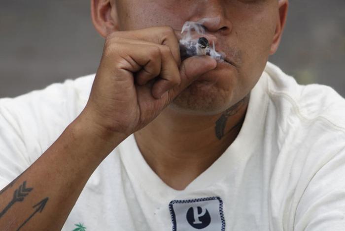 De la epilepsia al cáncer: aplicaciones médicas del cannabis bajo la lupa