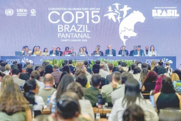 Declara la ONU 40 nuevas especies protegidas y 16 planes de acción