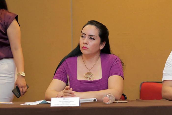 Delincuentes despojan de camioneta y armamento a escoltas de la diputada Anabet Franco Carrizales