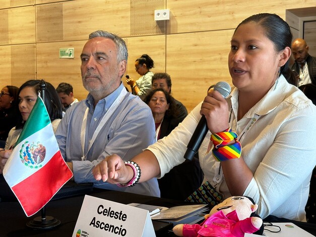 Denuncia Celeste Ascencio en foro internacional simulación de acciones afirmativas