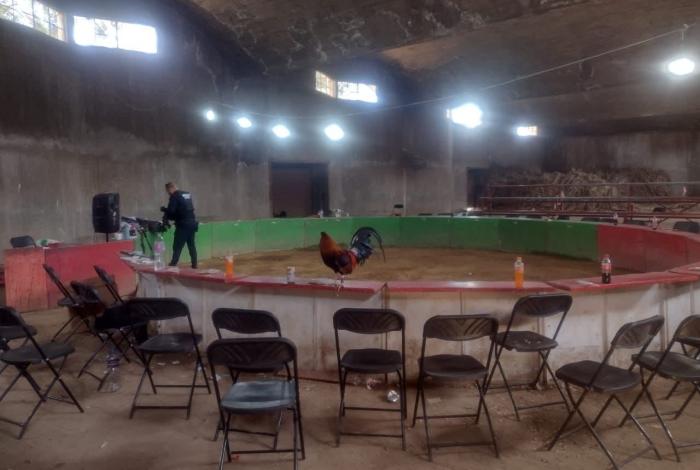 Desactivan dos palenques cland3stinos, en Villa Jiménez y Zicuaretiro