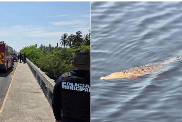 Desafortunada, muerte de menor por cocodrilo: Bedolla