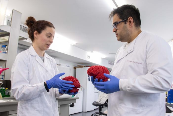 Descubren interruptor cerebral clave en autismo y esquizofrenia