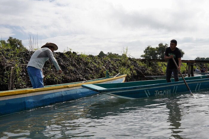 Descuido, ignorancia y ambición, taparon manantiales del Lago de Pátzcuaro: Bedolla