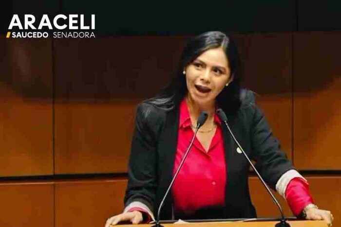 Desde el Senado aportamos a fortalecer la seguridad en el país: Araceli Saucedo Reyes