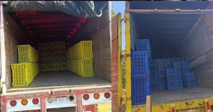 Detienen a 14 por robo de cuatro toneladas de aguacate