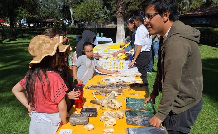 Día Internacional del Jaguar: Un ícono cultural en la lucha por su conservación