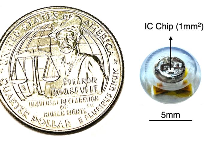 Diseñan una mini cápsula ingerible que mide la temperatura en tiempo real