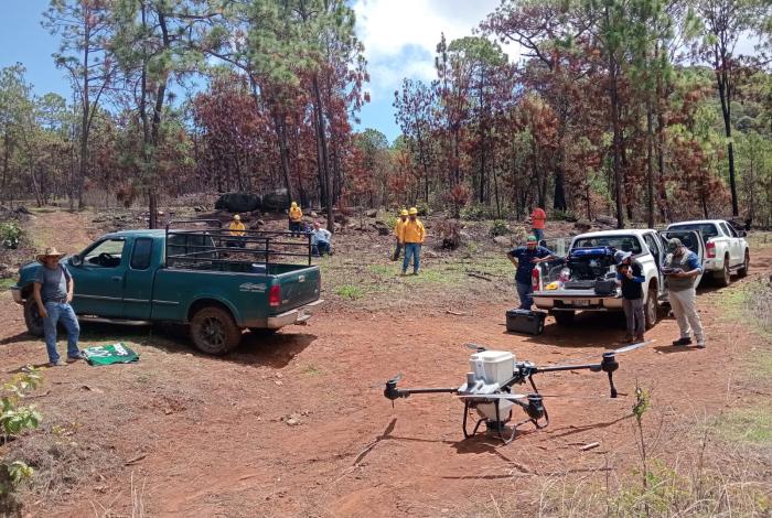 Drones reforestan las zonas más inaccesibles de Michoacán con programa Bio Renace
