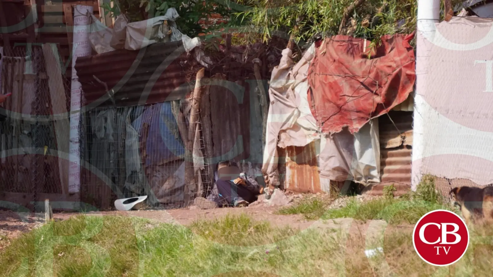 Ejecutan a un abuelito frente a sus vecinos en Jacona