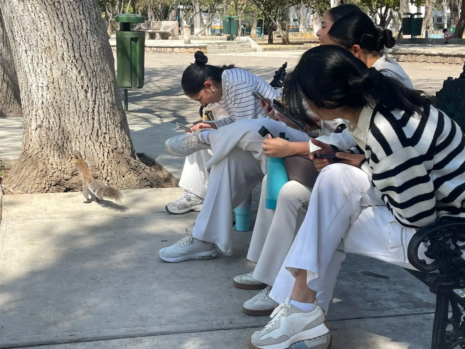 El Bosque Cuauhtémoc el preferido por los enamorados