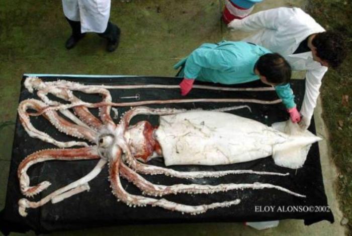 Ciencia y Tecnología