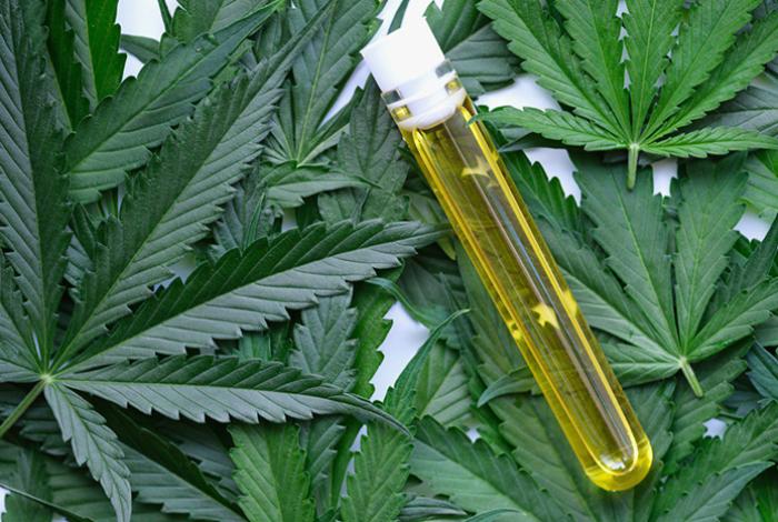 El consumo de drogas en adultos mexicanos crece, especialmente de cannabis