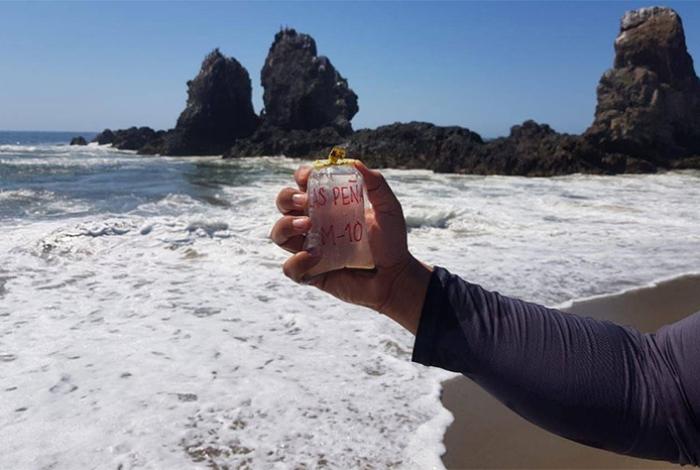 ¡El daño ya está hecho! Turistas cancelaron: Nexpa exige disculpa pública de Cofepris tras nuevo muestreo