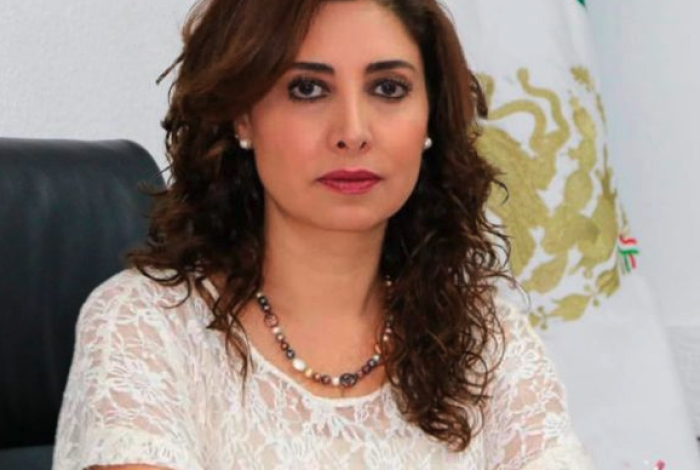 El destino de la reforma electoral. El análisis de la Dra. Yurisha Andrade Morales